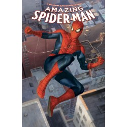 Amazing Spider-Man 26...